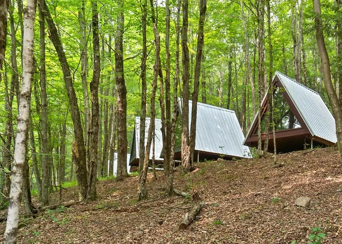 Callicoon Hills