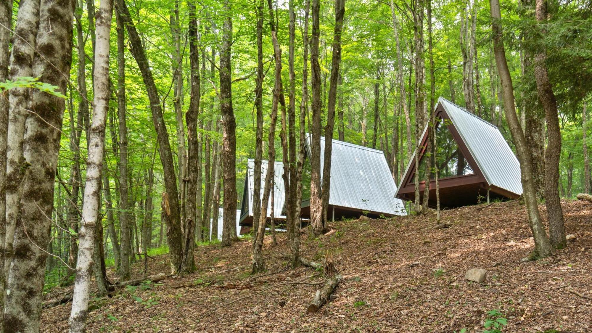 Hotel Callicoon Hills 2*